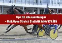 V75 Tips + Unik Open Stretch Statistik inför ÅBY 28 september 2024 v75tipsaby28sept2024