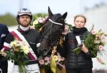 Inför V75 Jägersro: Hemmaprofilen har fem hästar till start hemmaprofilen har fem hästar till start