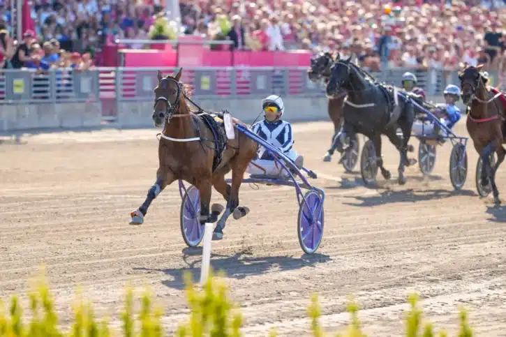 horsy dream får avstå prix d’amerique