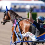 Inför V75 Jägersro: ”Affe” har ett perfekt läge a fair day oscar ginman 06667 1440x966 jpg