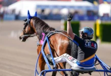 Inför V75 Jägersro: ”Affe” har ett perfekt läge a fair day oscar ginman 06667 1440x966 jpg