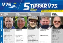 Fem tippar V75 till Solvalla 12 oktober 2024 Fem tippar V75 till Solvalla 12 oktober 2024
