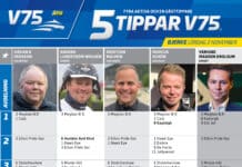 Fem tippar V75 till Bjerke 2 november 2024 fem tippar v75 v44 fin scaled