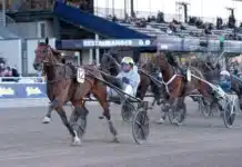 Inför V75 Jägersro: ”Det är hästens första start i volt” first time roc mal 1440x906 jpg