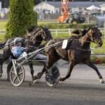 Två urstarka svenskhopp på Vincennes francesco zet mal 2 1440x960 jpg