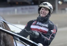 Inför GS75 Årjäng: Kristian plockar ut halva stallet kristian20lindberg20i20sulky201 jpg