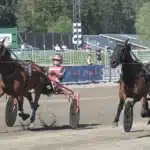 Inför V75 Örebro: Stefan P Pettersson vädrar morgonluft Stefan P Pettersson vädrar morgonluft