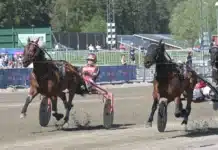 Inför V75 Örebro: Stefan P Pettersson vädrar morgonluft Stefan P Pettersson vädrar morgonluft