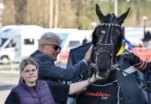 Inför GS75 Umåker: ”Jag har bästa hästen” Inför GS75®: ”Jag har bästa hästen”