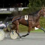 Undine har fått en rivstart i avelsboxen undine 1440x908 jpg
