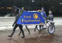 Första steget mot stjärnorna? landets mest klassiska unghästfinal