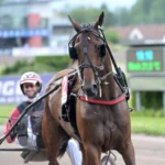 Inför V86 Åby/Solvalla: Hittar Lozano di Quattro tillbaka? lozano di quattro