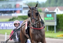 Inför V86 Åby/Solvalla: Hittar Lozano di Quattro tillbaka? lozano di quattro