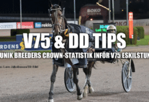 V75 & DD Tips + Unik Statistik inför V75 ESKILSTUNA 16/11 2024 v75 eskilstuna