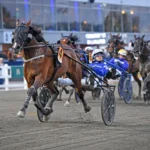 Inför V75 SOLVALLA: Törnqvist har siktat mot Breeders’ med stallstjärnan bicc s tobee mal 507 1440x877 jpg