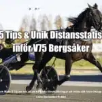 Tips & Unik statistik inför V75 BERGSÅKER 9 november 2024 castor the star heat 2 1440x960 jpg kopiera