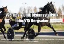Tips & Unik statistik inför V75 BERGSÅKER 9 november 2024 castor the star heat 2 1440x960 jpg kopiera