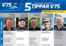 Fem tippar V75 till Bergsåker 9 november 2024 Fem tippar V75 till Bergsåker 9 november 2024