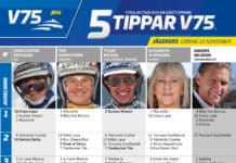 Fem tippar V75 till JÄGERSRO 23 november 2024 Fem tippar V75 till Jägersro 23 november 2024