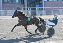 Inför V86: Conrad Lugauer är ute efter revansch golden sunrise 1440x1018 jpg
