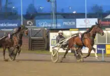 Inför V75 SOLVALLA 30/11: Stenströmer kan ha miljonskrällarna great time trot mal 1440x861 jpg