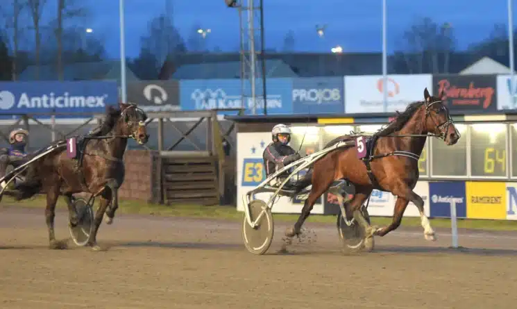 great time trot mal 1440x861 jpg