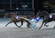 Resultat V86: Imponerande dubbelseger till formstarke André Eklundh mr shyguy mal 1440x912 jpg