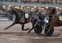 Inför V75 BJERKE: ”Stoletheshow är inte så snabb från start som tidigare” stoletheshow mal 4541 1440x851 jpg