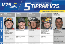 Fem tippar V75 till Halmstad 28 december 2024 Fem tippar V75 till Halmstad 28 december 2024