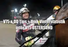 Tips + Unik Vinterstatistik inför V75 ÖSTERSUND kristian lindberg glad bakom indiana downs 1440x938 jpg kopiera