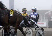 Inför V75 Annandag Jul: Heta chanser för heta bröderna magnus a djuse och mats e djuse i lopp 1440x1011 jpg