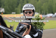 V75 Romme – Tips + Unik Mattias Djuse-statistik tipsbildmattias djuse segerdefilerar 1440x1049 jpg kopiera