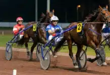 Alternativ till ATG: Så kan du spela på hästar i Sverige artikelbild