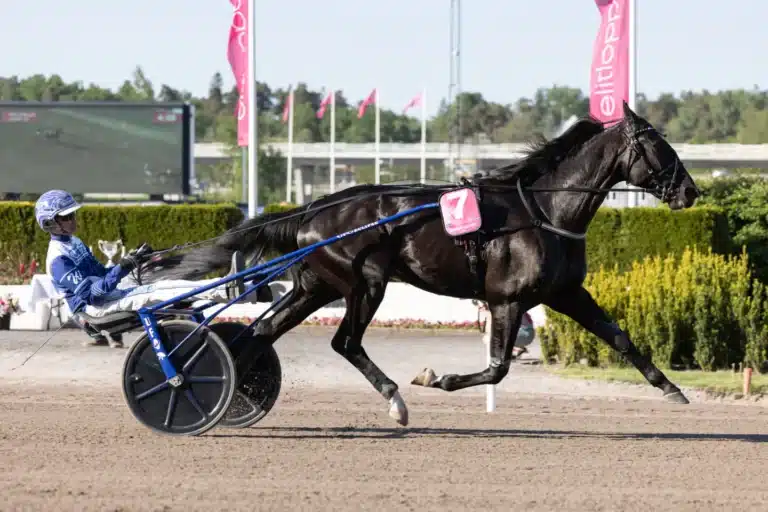 Borups Victory tjänade mest 2024