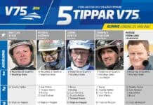 Fem tippar V75 till ROMME 25 januari 2025 Fem tippar V75 till ROMME 25 januari 2025