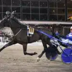 Inför V75 Romme: Krossar han allt igen? high on pepper mal 1 1440x960 jpg