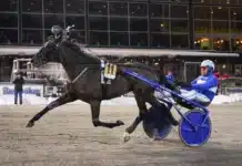 Inför V75 Romme: Krossar han allt igen? high on pepper mal 1 1440x960 jpg