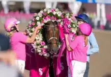 Titelförsvararen friskförklarad – hoppas på Elitloppet horsy dream eric raffin vinner elitloppet 2024 07894 1440x960 jpg