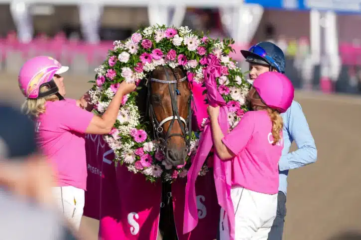 horsy dream eric raffin vinner elitloppet 2024 07894 1440x960 jpg