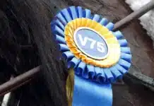 Stallsnack inför V75 JÄGERSRO ny v75 rosett jpg