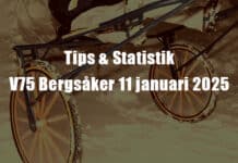 Tips & Statistik inför V75 Bergsåker 11 januari 2025 tipsbergs kopiera