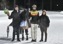 Inför V75 FÄRJESTAD: Tverdals Trippel fortsätter turnén i jakt på en fyrling umaker 241225 tverdals trippel mats e djuse pris 1440x960 jpg