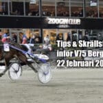 Tips & Skrällstatistik inför V75 Bergsåker 22 februari 2025 breeze mal 1440x794 jpg kopiera
