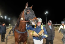 Inför V75 SOLVALLA: Fördel stoet i silverdivisionens final decision maker och stefan melander 1440x1025 jpg (1)
