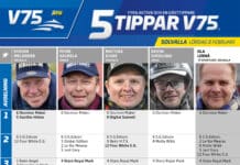 Fem tippar V75 till SOLVALLA 8 februari 2025 fem tippar v75 v6 scaled