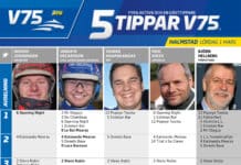 Fem tippar V75 till HALMSTAD 1 mars 2025 Fem tippar V75 till HALMSTAD 1 mars 2025