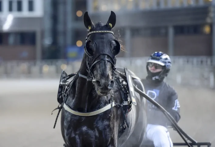 four guys dream 1440x984 jpg