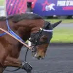 Go On Boy överlägsen i Prix de France go on boy varmning10 1440x959 jpg