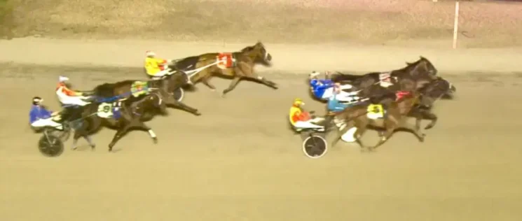 great southern star malfoto jpg