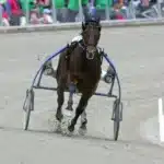 Jag de Bellouet har somnat in jag de bellouet fram 2 1440x943 jpg